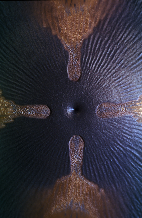 23 inside centre of 21
