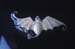 04 bat detail