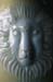 06 lion detail